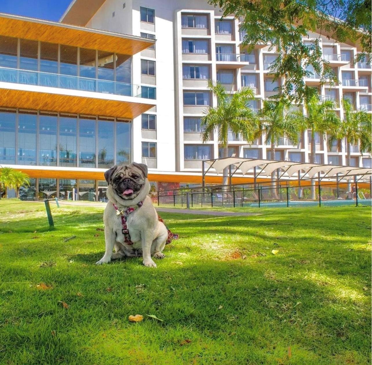 Novotel Itu Terras De Sao Jose Golf & Resort Ngoại thất bức ảnh